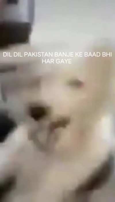 phir har gaye 