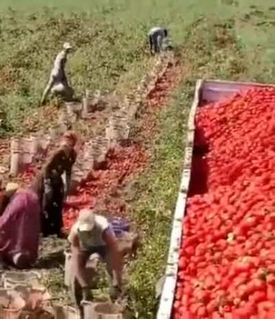 Gravidade, acelera&ccedil;&atilde;o, atrito, termodin&acirc;mica, for&ccedil;a vetorial, magia negra, momento, tudo ao mesmo tempo agora.