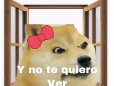 Los meos migos