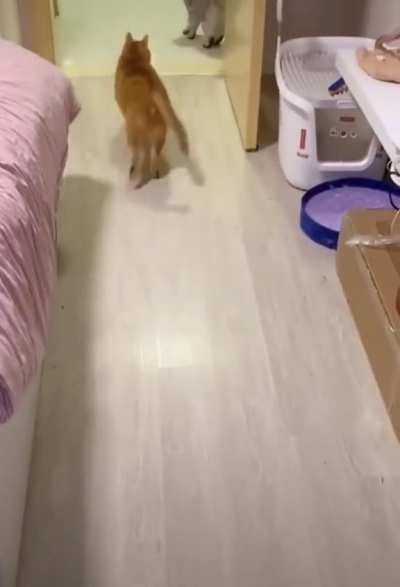 He&rsquo;s a coming