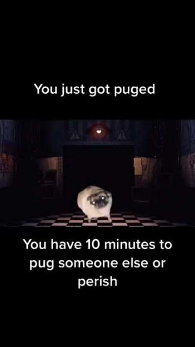 Haha get puged