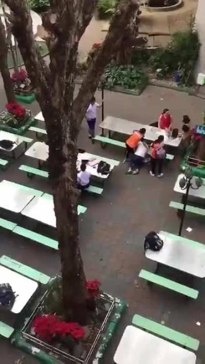 A kid hit back at a woman alongside &ldquo;joy to the world&rdquo; music intro.