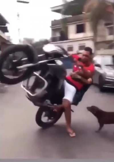 VOV&Oacute; V1D4 L0K4 😎