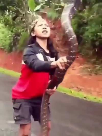 Cuando ya dominas a tu t&oacute;xica 