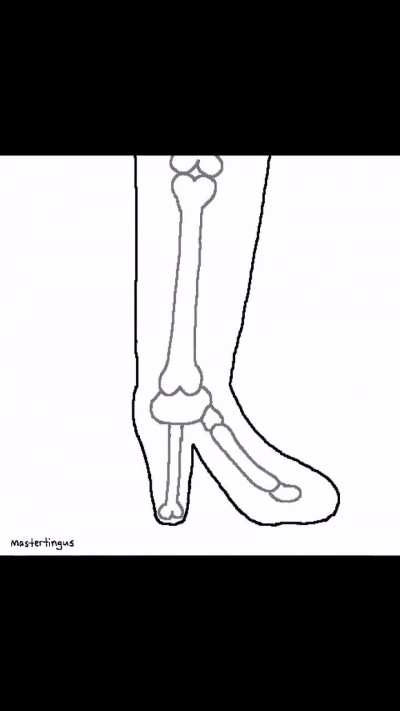 Calcium+