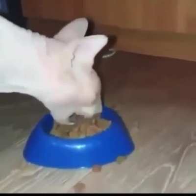 :v