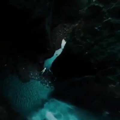 🔥 Nature shot