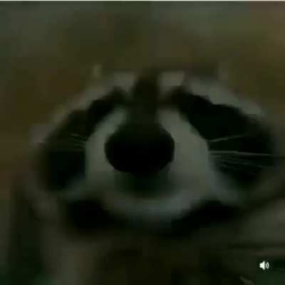 Poo