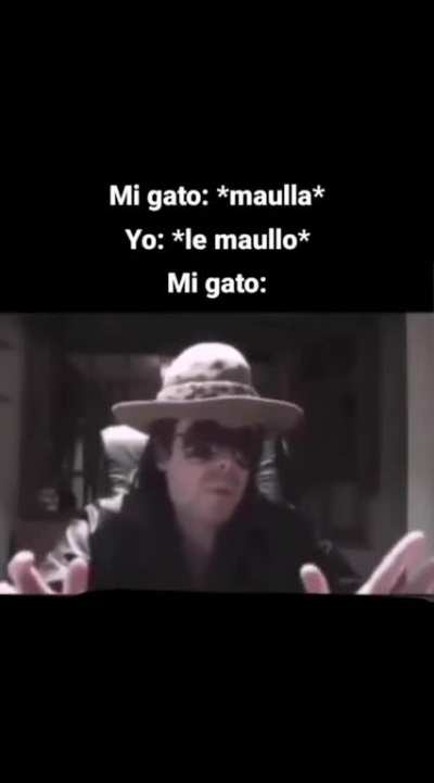 michi basado 🧐