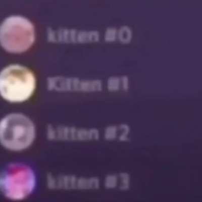 Don't ban me please