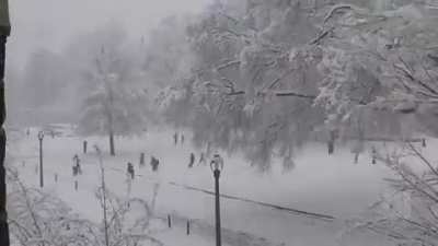 winterporn