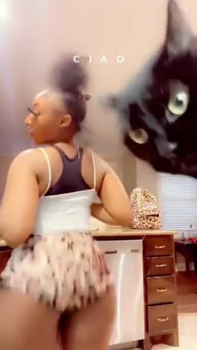 her cat tried to block the claps