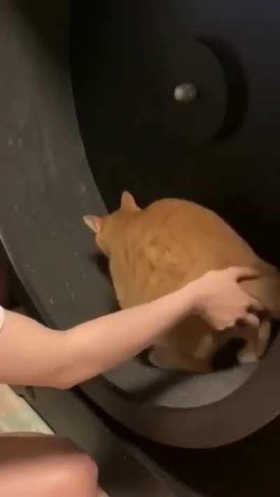 I'm tired