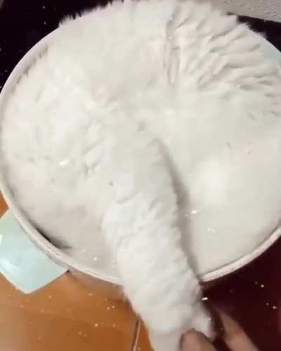 to sleep
