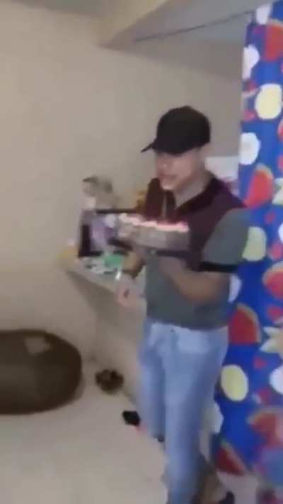 the cake was a lie