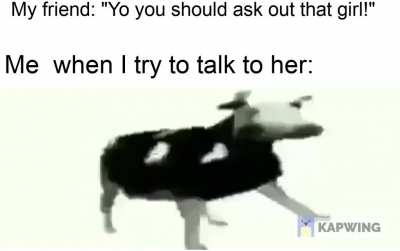 y e s