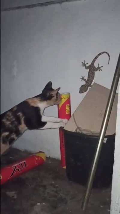 Curiosity killed the...