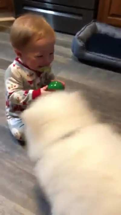 2 yrs ago! My pup met a baby for the first time and had no idea what to do