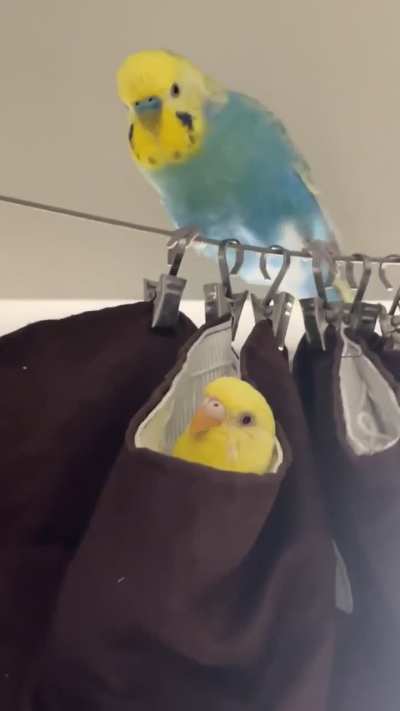 She&rsquo;s very&hellip;special