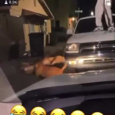 Man vs 3 dogs