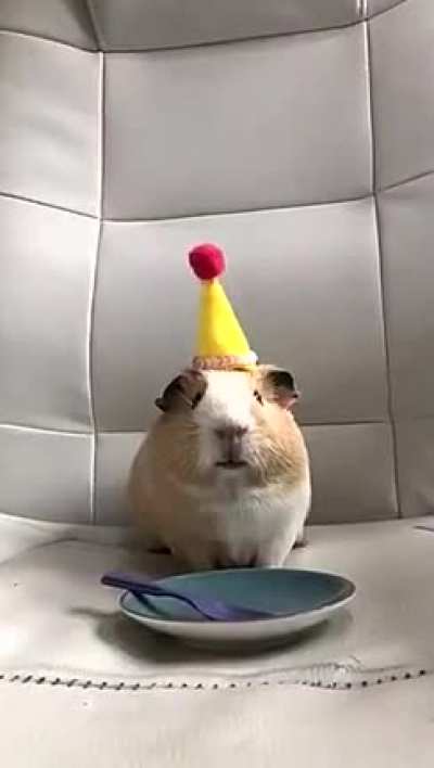 I wanted cake too