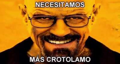 crotolamo