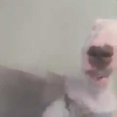 Beatdog