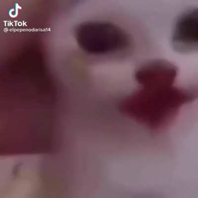 🤭🤭