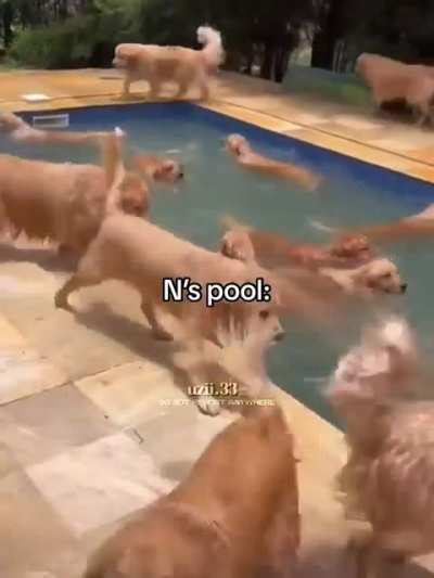 If N had a pool