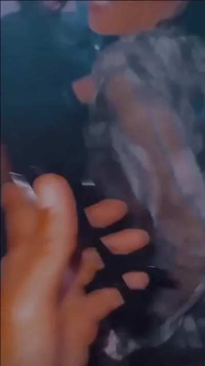 Coi&rsquo;s Juicy Ass 🤤