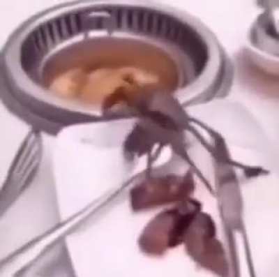 MR KRABS NOOOOO-