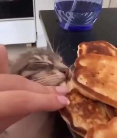 Taste of defeat