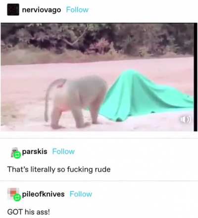 poor monke