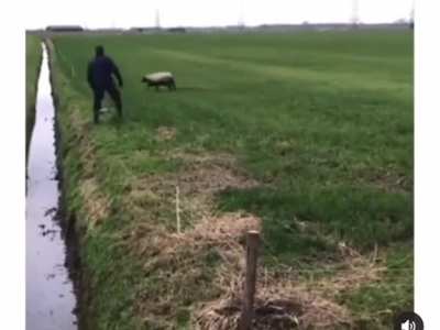 Maybe maybe maybe