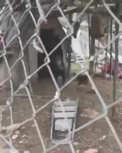 Se que falta para el viernes pero esto se ve loco.