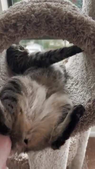 I guess she wasn&rsquo;t fully awake yet.