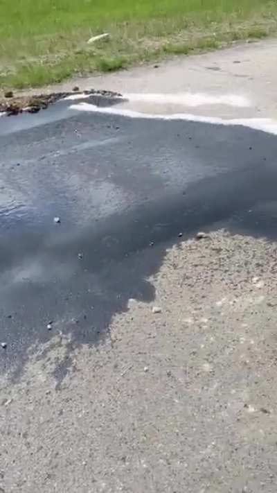 Oil leak