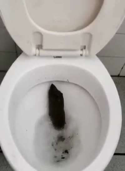 Isso n&atilde;o &eacute; um humano!