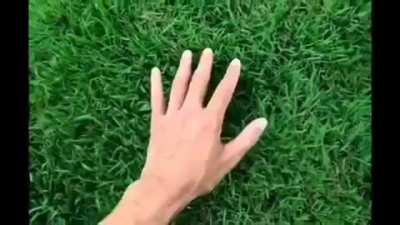 XD