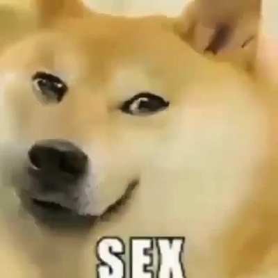 jejeje