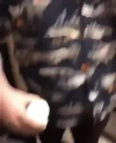 HMB while I go downstairs
