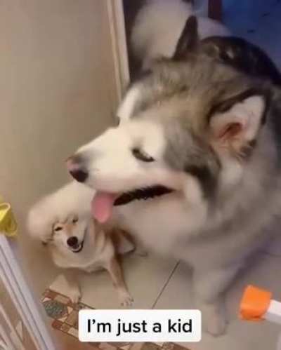 Ответочка)