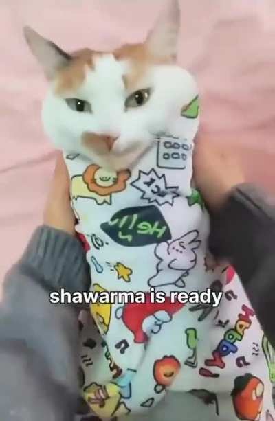 Wiggling his shi
