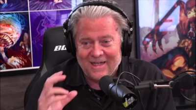 Steve Bannon on The Apes and The Hedgies
