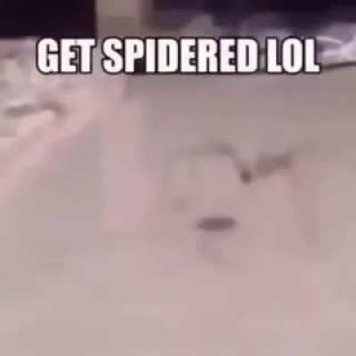 F