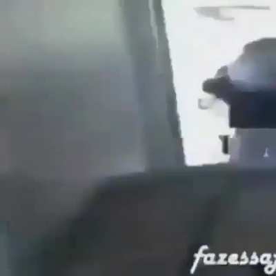 Mister m&uacute;sculo