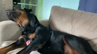 That&rsquo;s the spot
