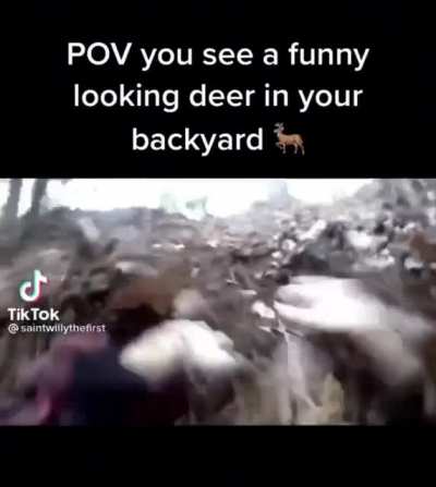 I don&rsquo;t know if that&rsquo;s a deer&hellip;