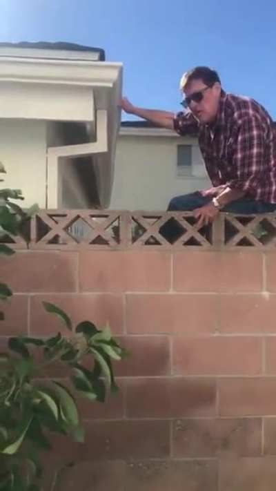 Crazy neighbor freaks out over a plant