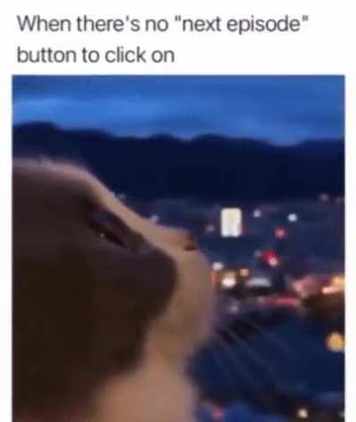 P a i n